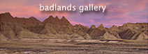 Badlands Gallery